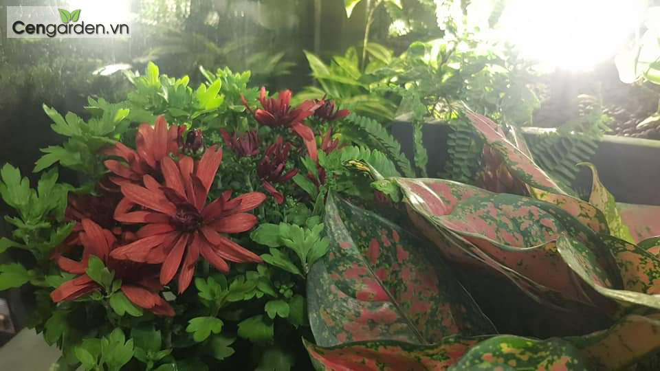 Thiết kế ban công đẹp Chung cư Vinhomes Skylake Phạm Hùng