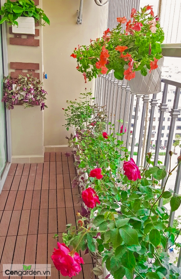 Trang trí ban công đẹp tại Chung cư Vinhomes Gardenia Mỹ Đình