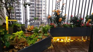 Ban công Cengarden