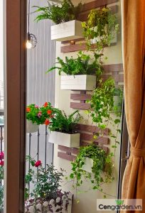 Thiết kế ban công đẹp kết hợp giữa vỉ gỗ ốp tường và chậu treo Composite
