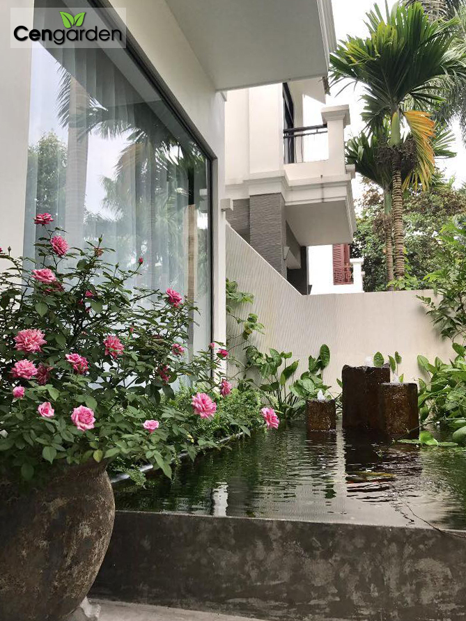 Thiết kế sân vườn 3D ấn tượng