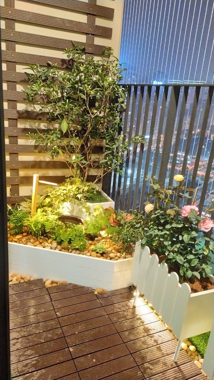 Ban công D'Capital Trần Duy Hưng