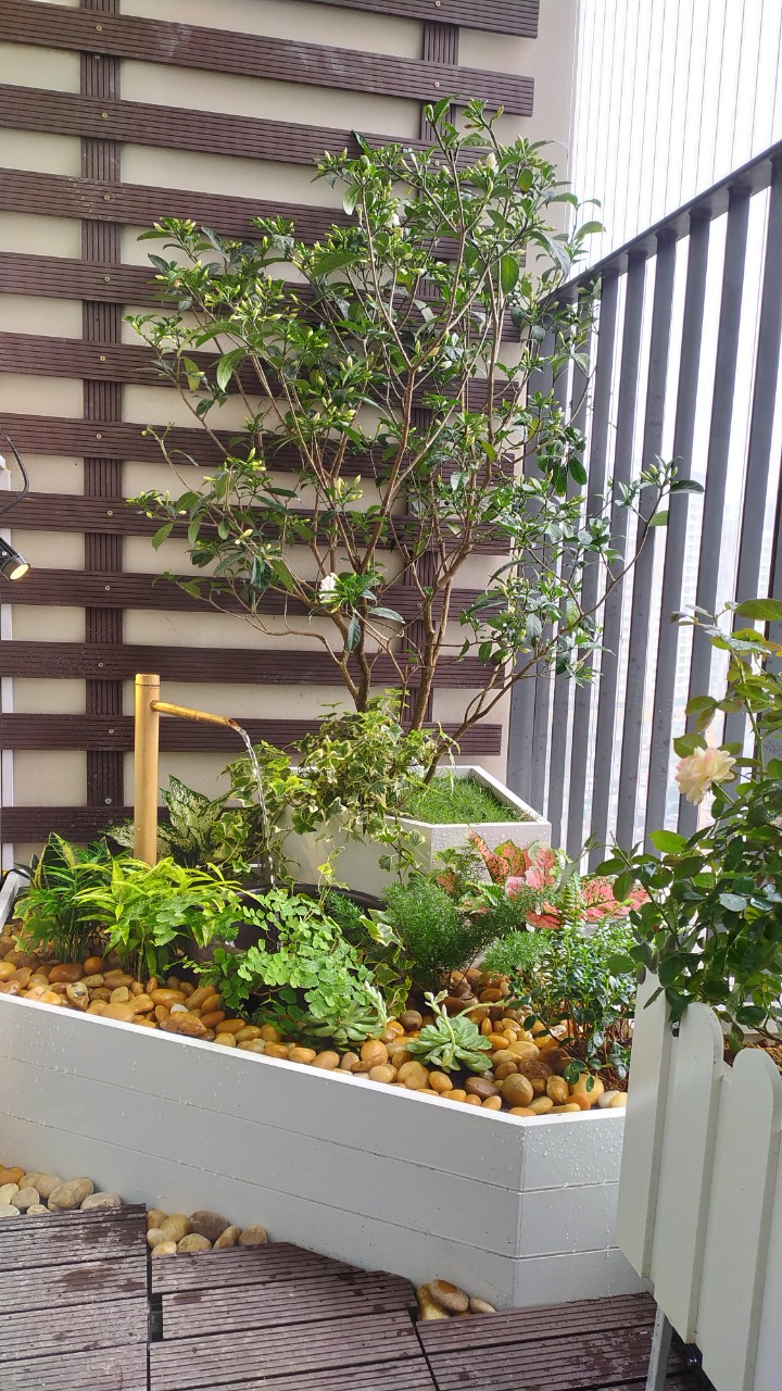 Ban công đẹp chung cư Dcapital