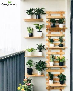 Trang trí đợt gỗ tự nhiên