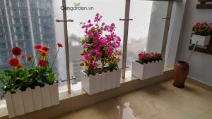 Trang trí ban công đẹp