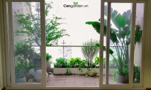 thiết kế ban công đẹp tại Cengarden