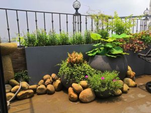 Trang trí vườn sân thượng phong cách tự nhiên đẹp