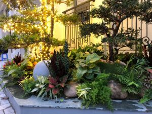 tiểu cảnh sân vườn