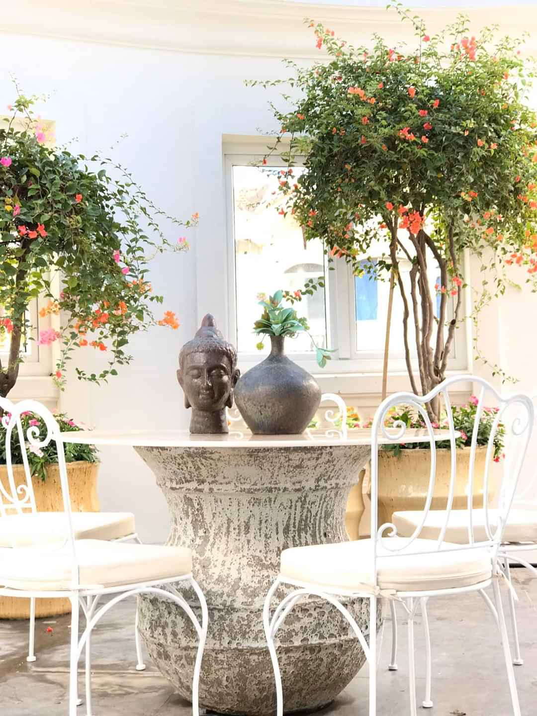 Thi công thiết kế sân vườn