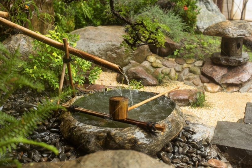 Thi công thiết kế sân vườn