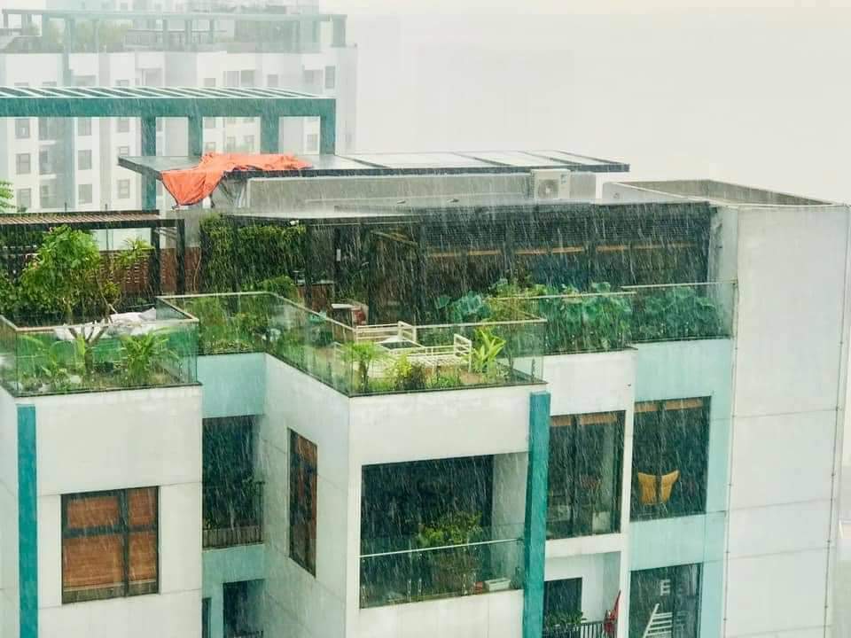 Thiết kế sân thượng