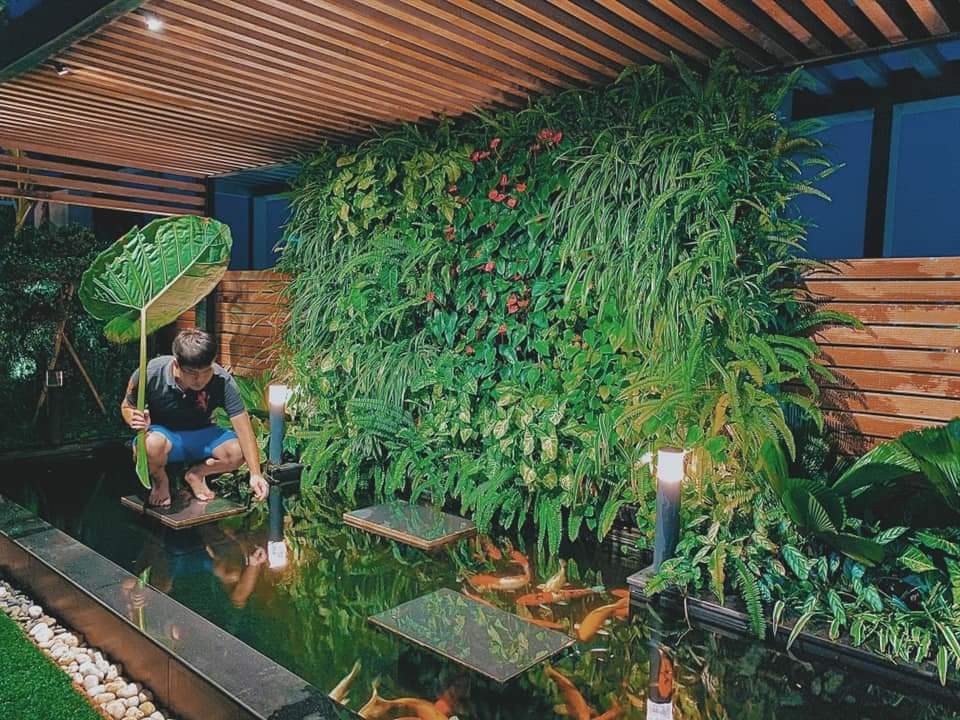 Thiết kế hồ koi biệt thự