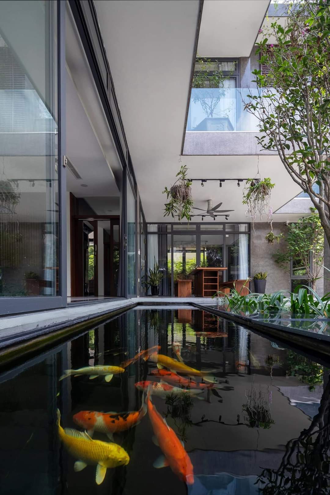 Thiết kế hồ koi biệt thự