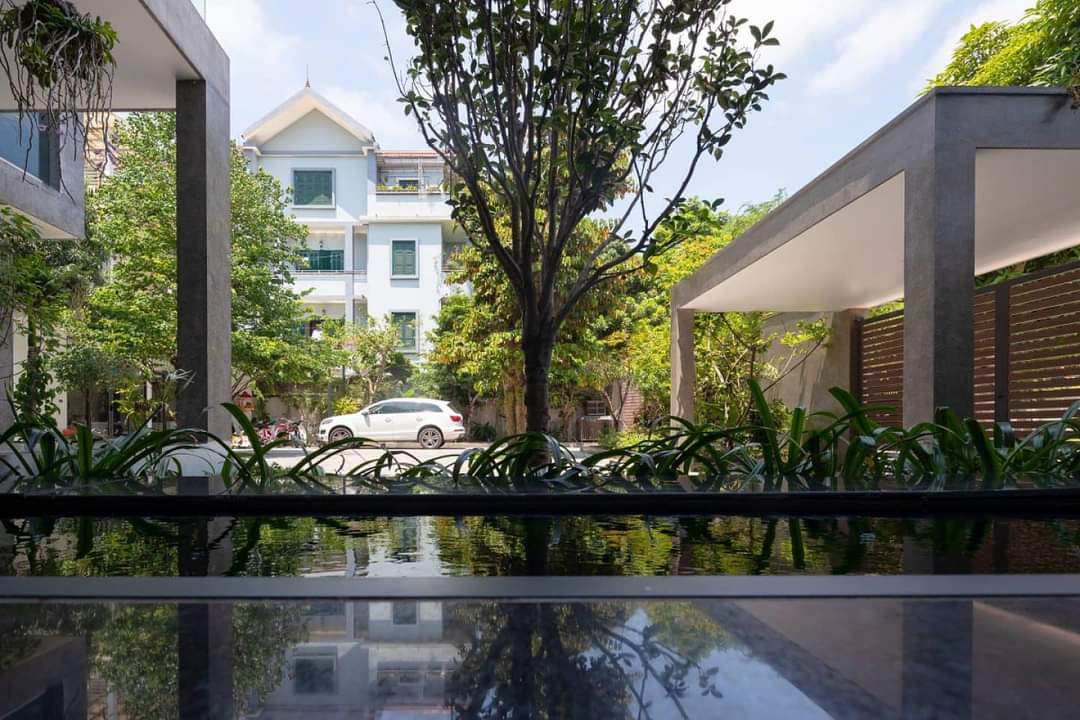 Thi công thiết kế sân vườn