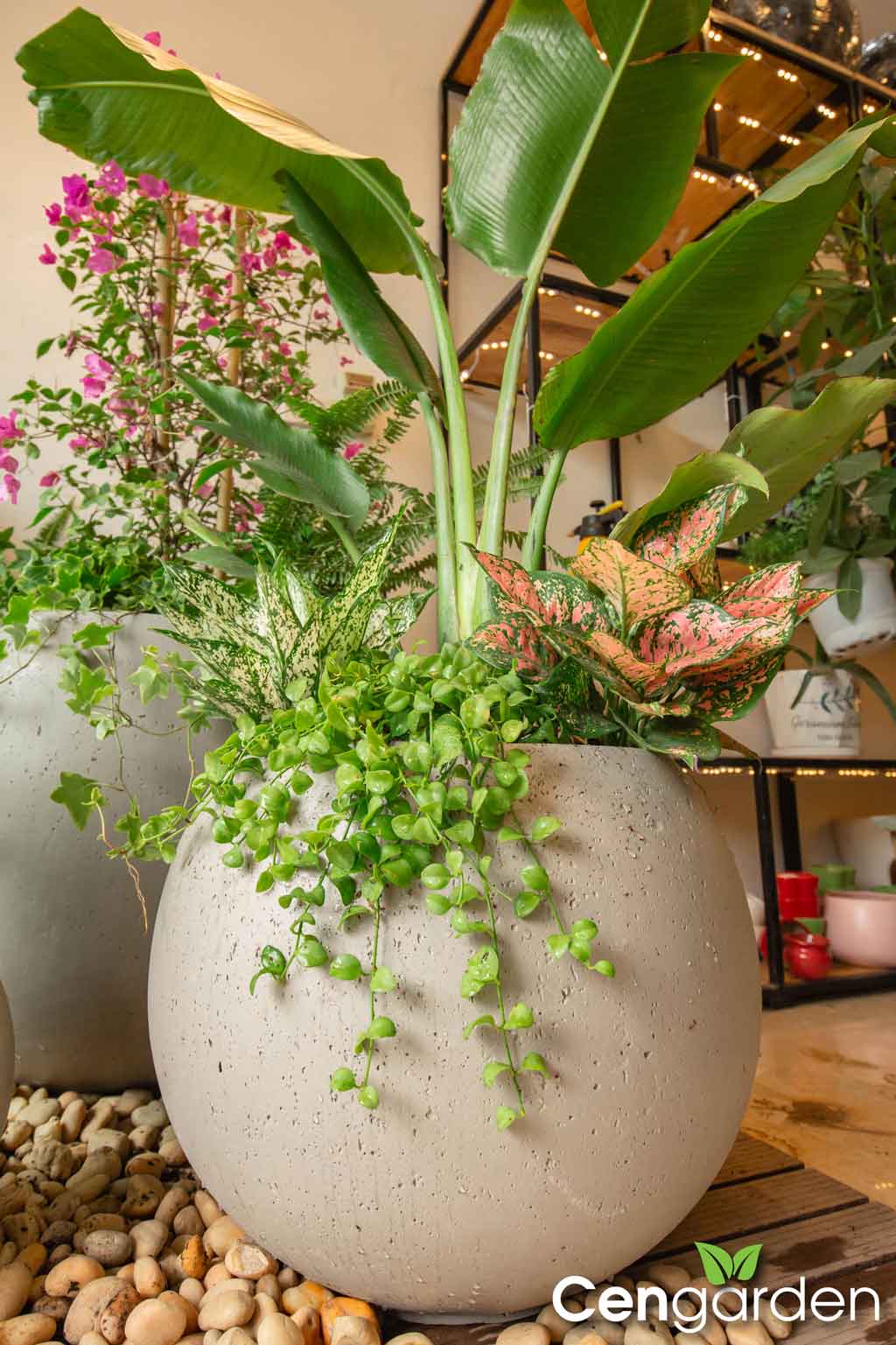 Chậu xi măng nhẹ fiber