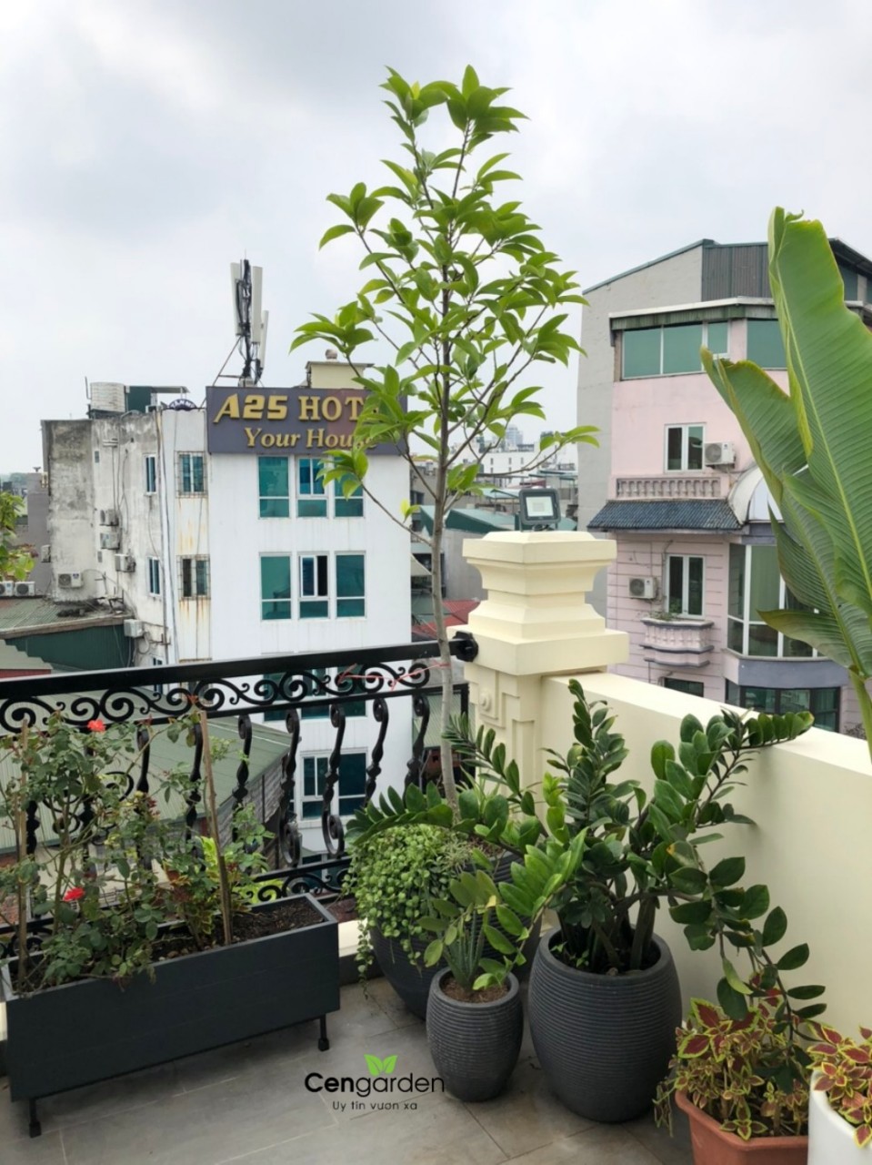 Thi công thiết kế ban công sân thượng