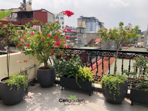 Thi công thiết kế ban công sân thượng