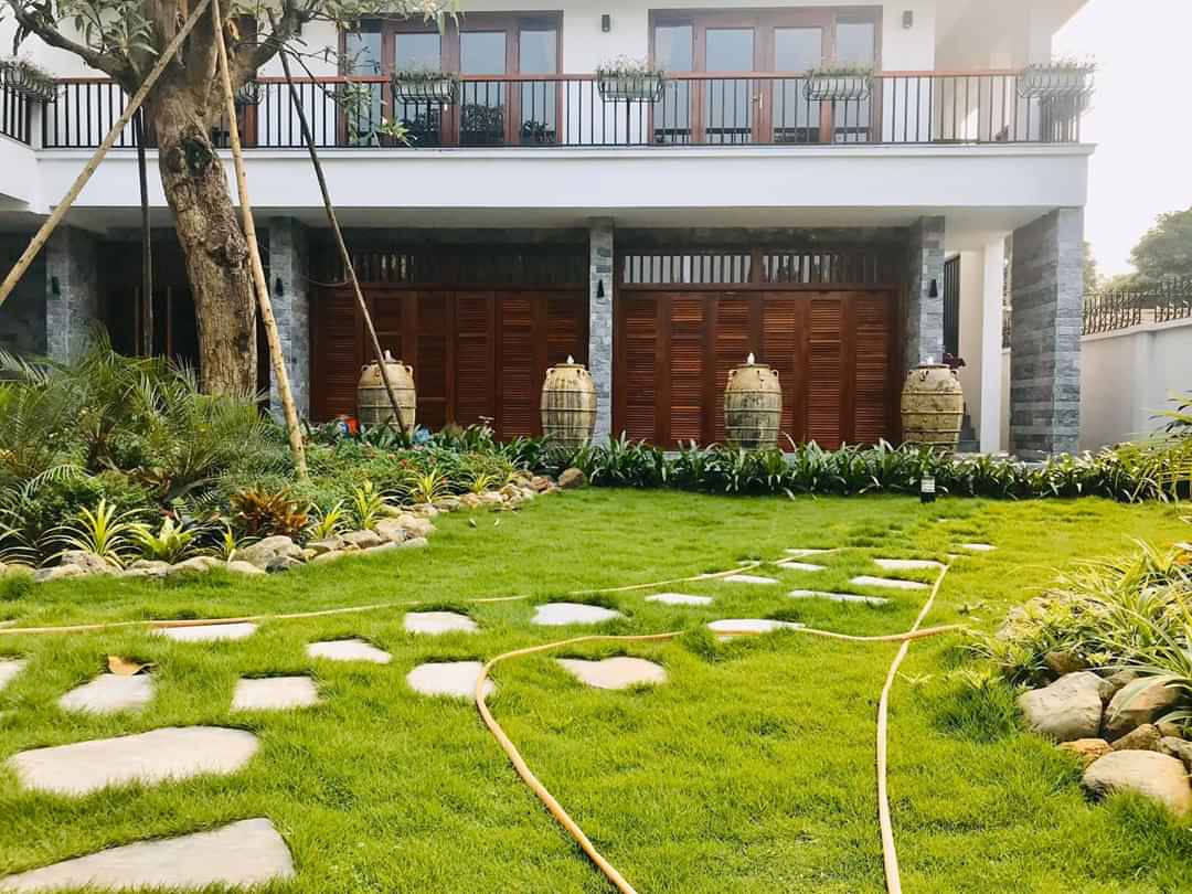 Thi công thiết kế sân vườn