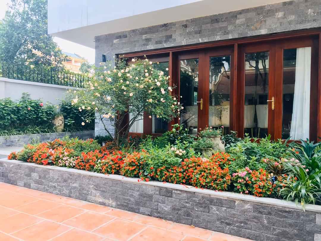 Thi công thiết kế sân vườn