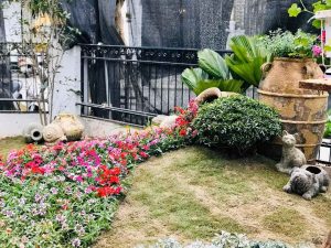 Thi công thiết kế sân vườn