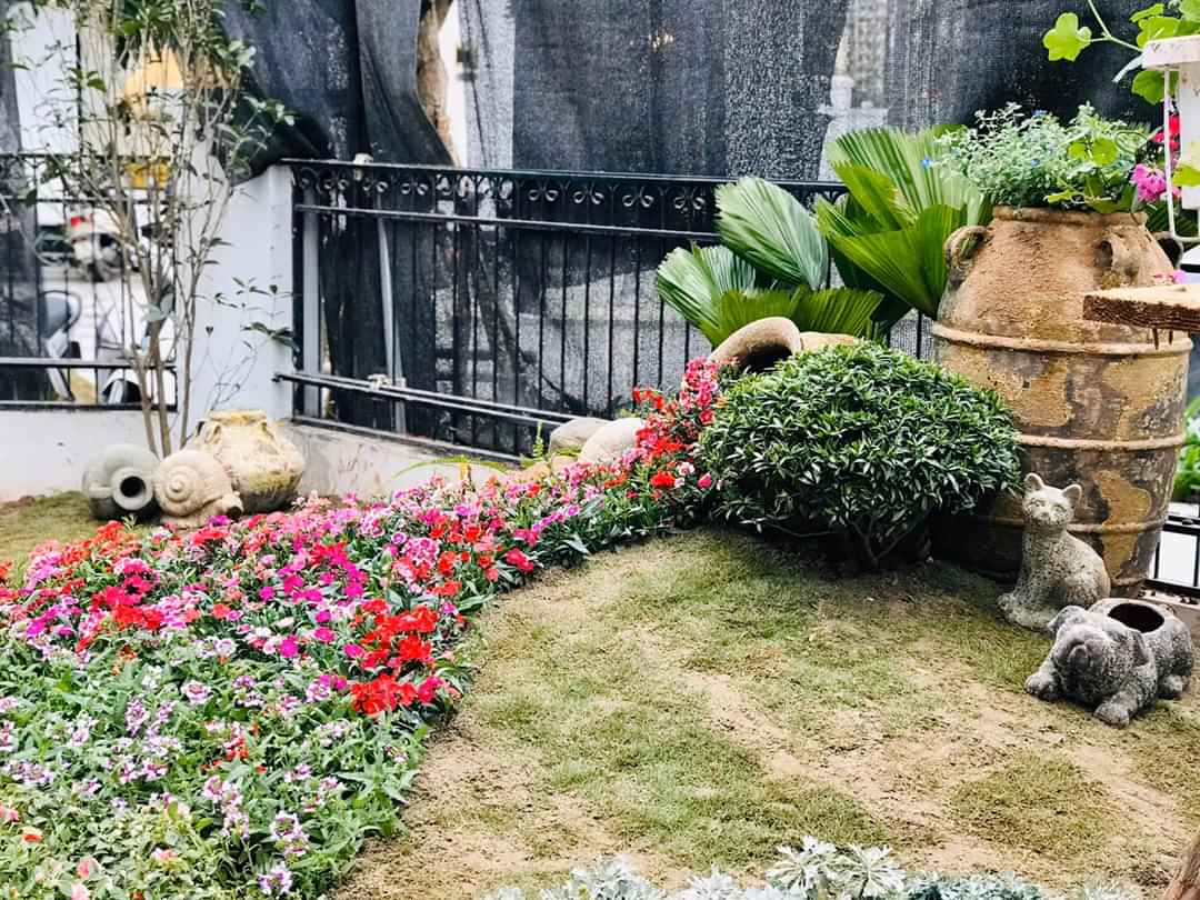 Thi công thiết kế sân vườn