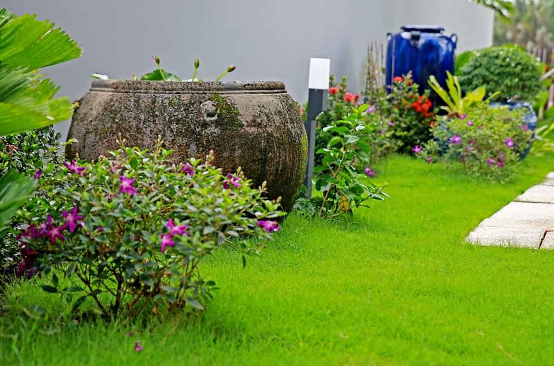 Thi công thiết kế sân vườn