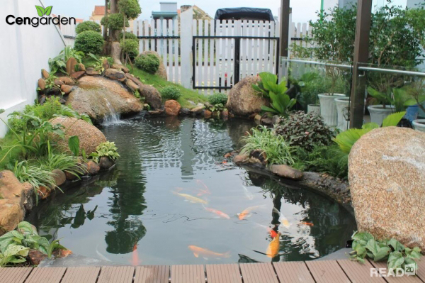 Thiết kế hồ koi biệt thự