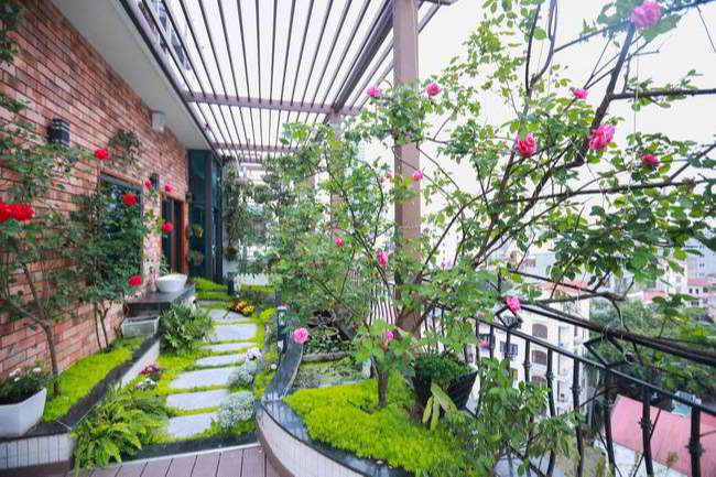 Thiết kế sân thượng, vườn trên mái
