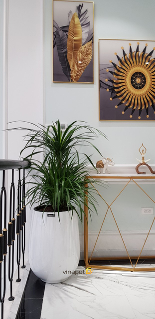 Chậu Composite Cao cấp Premier Ruby ROS