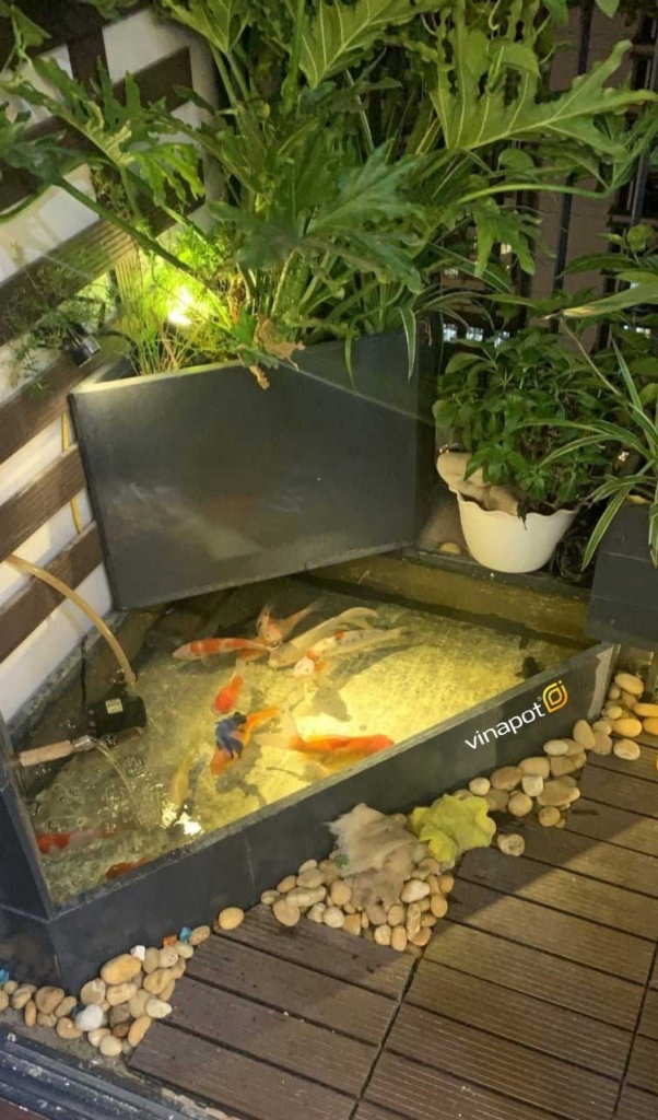Chậu gỗ nhựa bể cá Vinapot