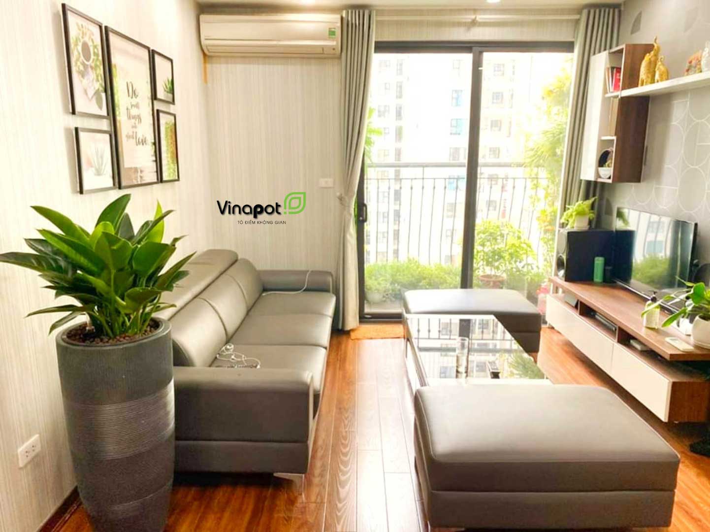 Chậu Composite Cao cấp Premier Moonstone ROS