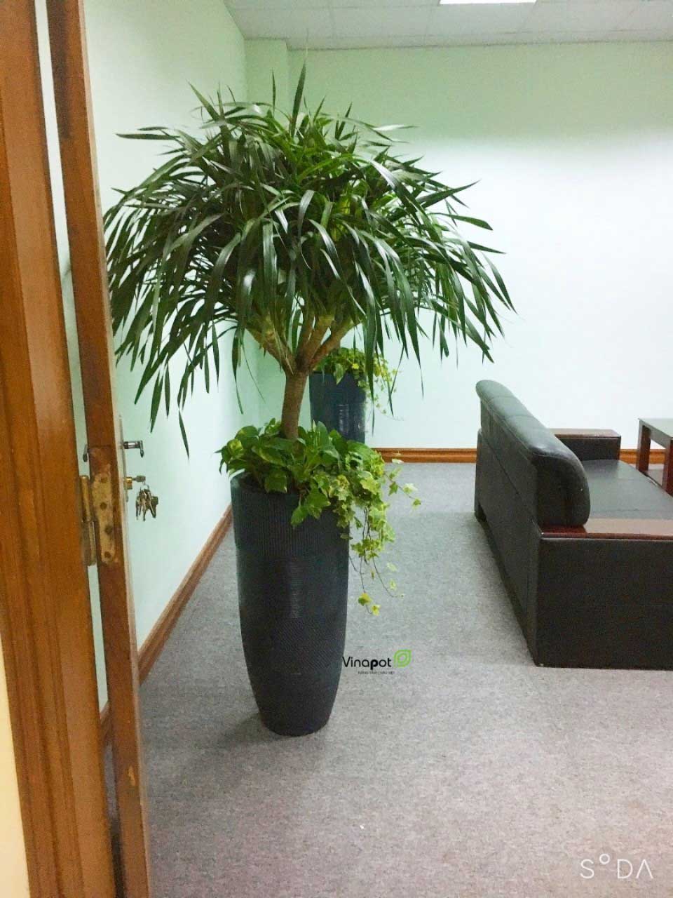 Chậu Composite Cao cấp Premier Moonstone ROS