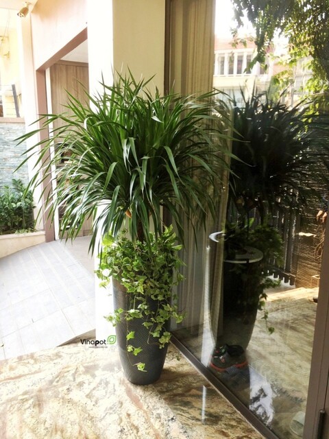 Chậu Composite Cao cấp Premier Moonstone ROS