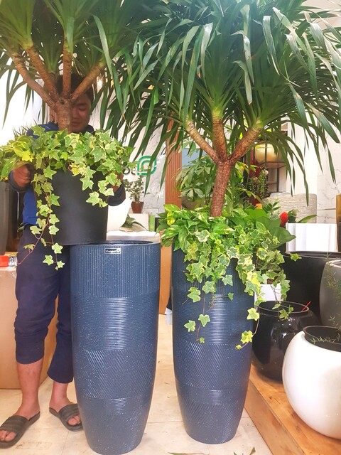 Chậu Composite Cao cấp Premier Moonstone ROS