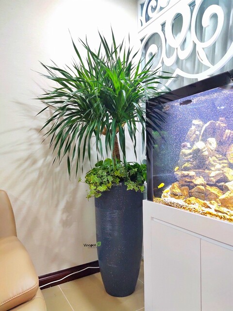 Chậu Composite Cao cấp Premier Moonstone ROS