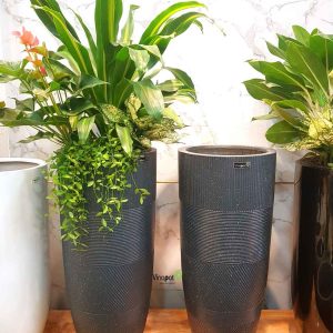 Chậu Composite Cao cấp Premier Moonstone ROS