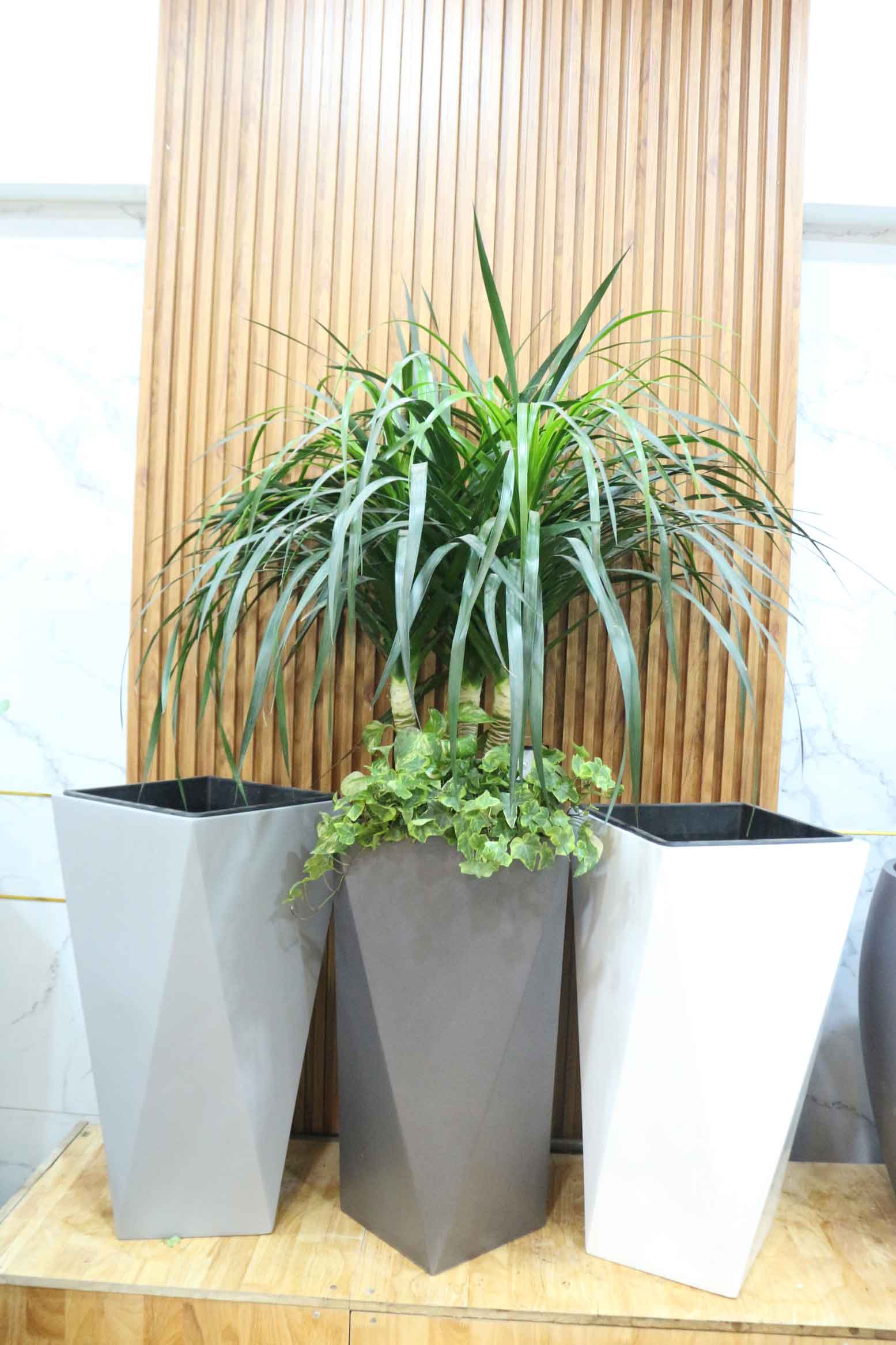 Chậu Composite Cao cấp Premier Diamond ROS