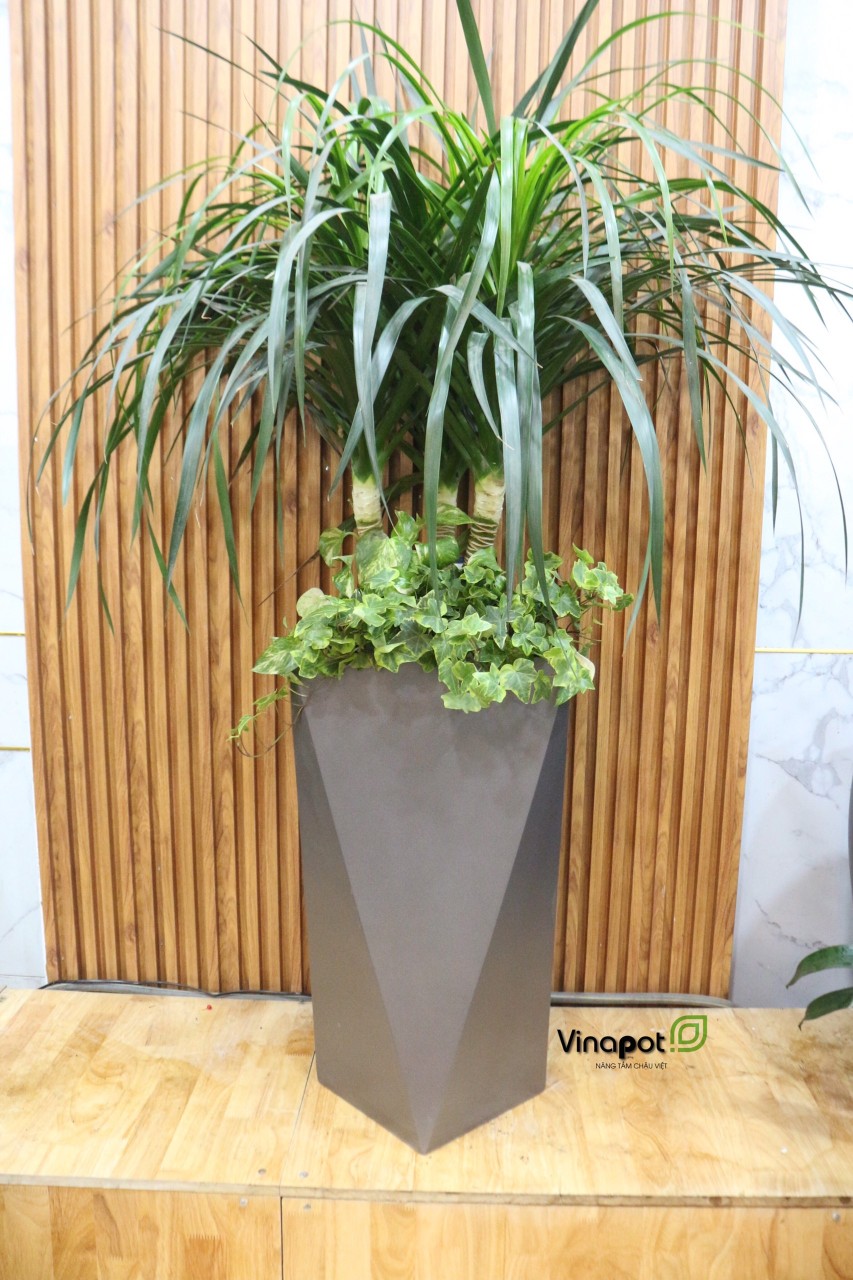 Chậu Composite Cao cấp Premier Diamond ROS