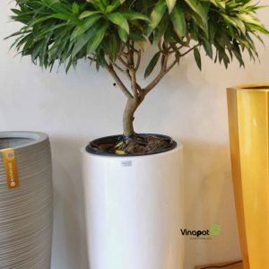 Chậu Composite Cao cấp Premier Emerald ROS