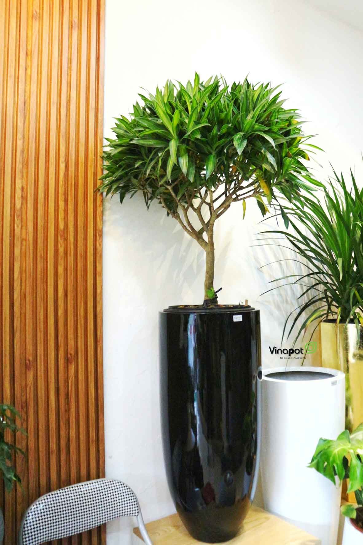 Chậu Composite Cao cấp Premier Emerald ROS