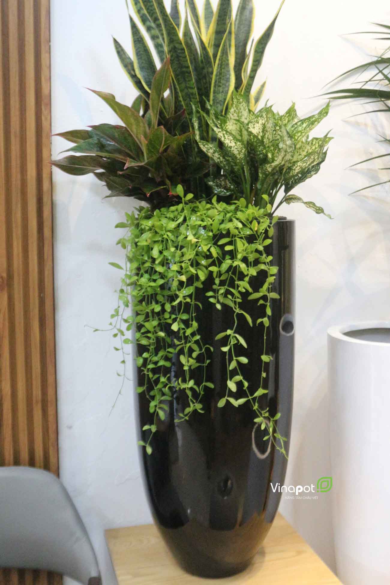 Chậu Composite Cao cấp Premier Emerald ROS