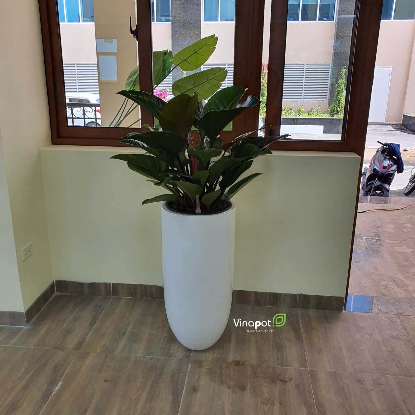 Chậu Composite Cao cấp Premier Emerald ROS