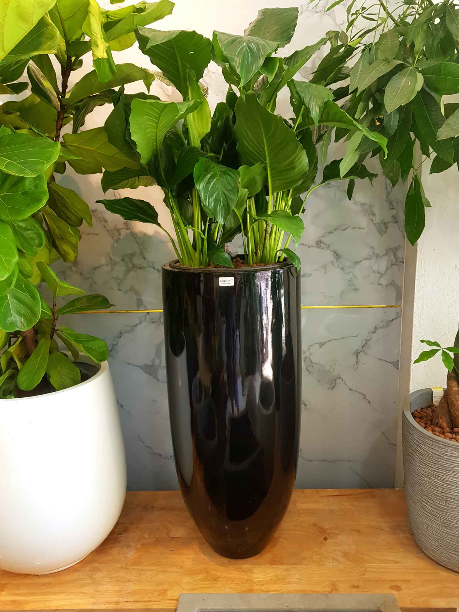 Chậu Composite Cao cấp Premier Emerald ROS