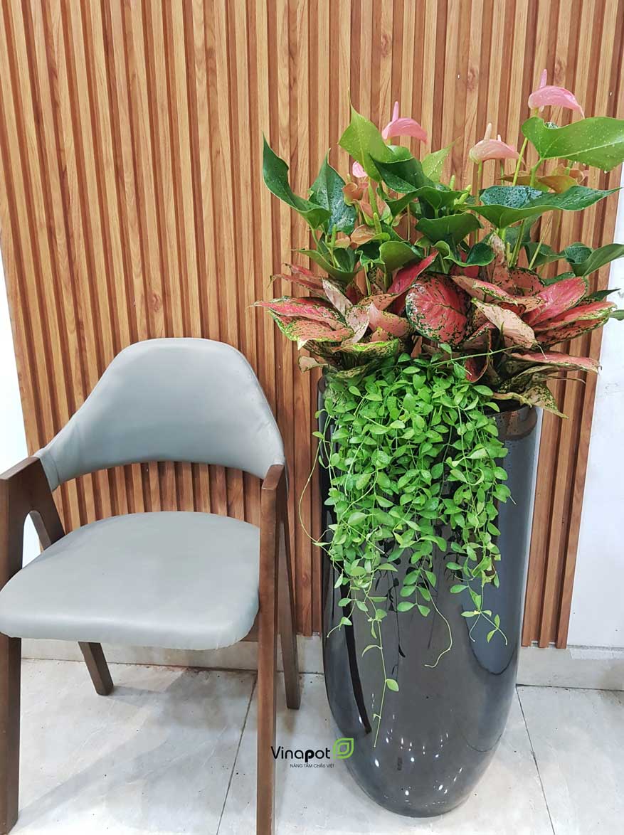 Chậu Composite Cao cấp Premier Emerald ROS