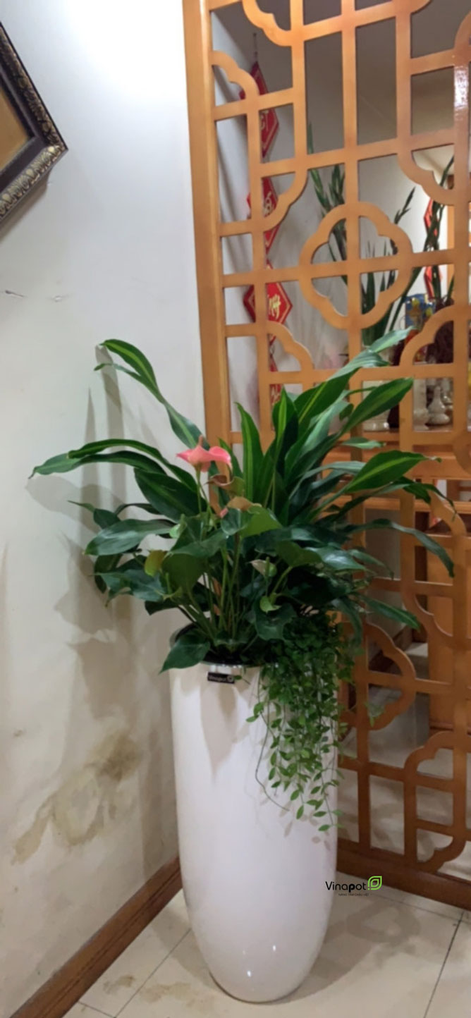 Chậu Composite Cao cấp Premier Emerald ROS