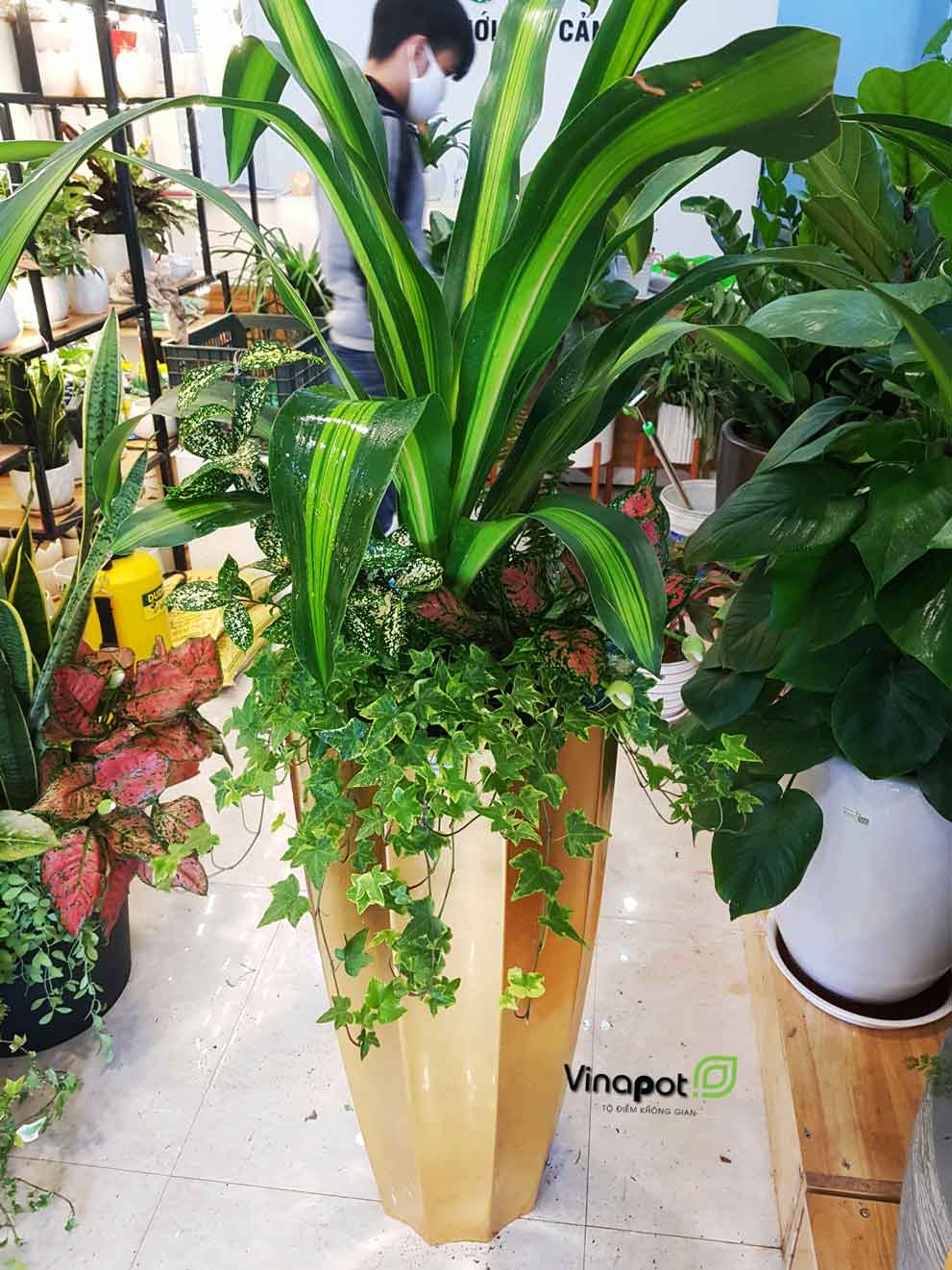 Chậu Composite cao cấp Garnet Gold Tự Tưới ROS