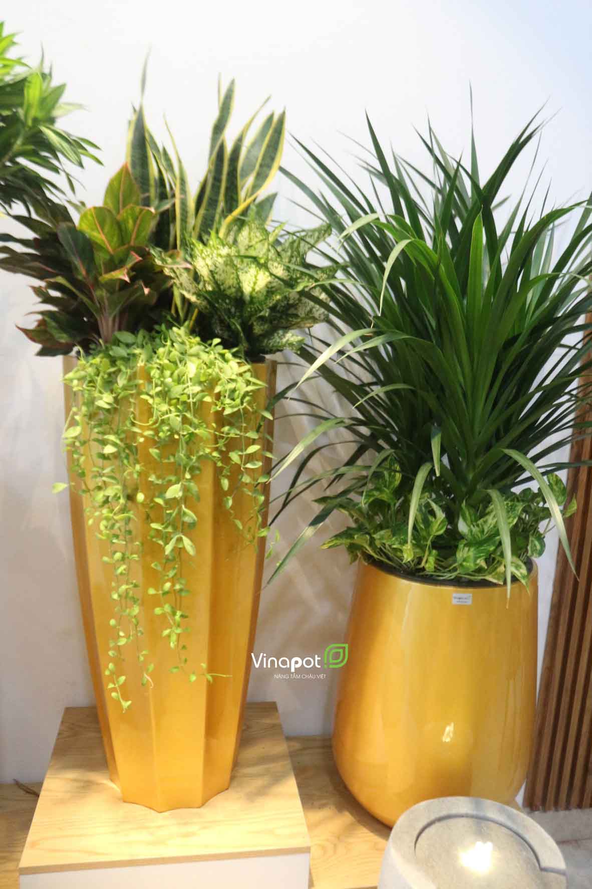 Chậu Composite cao cấp Garnet Gold Tự Tưới ROS