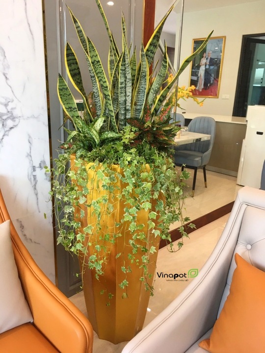 Chậu Composite cao cấp Garnet Gold Tự Tưới ROS