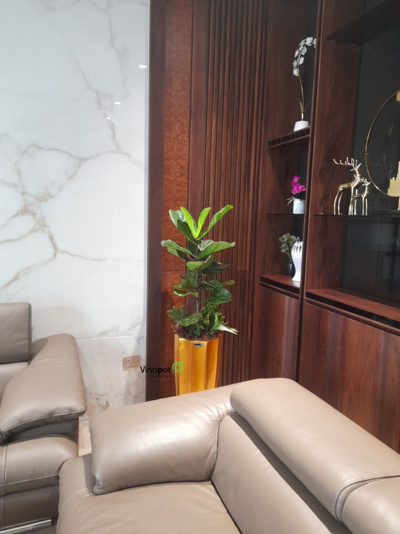 Chậu Composite cao cấp Garnet Gold Tự Tưới ROS