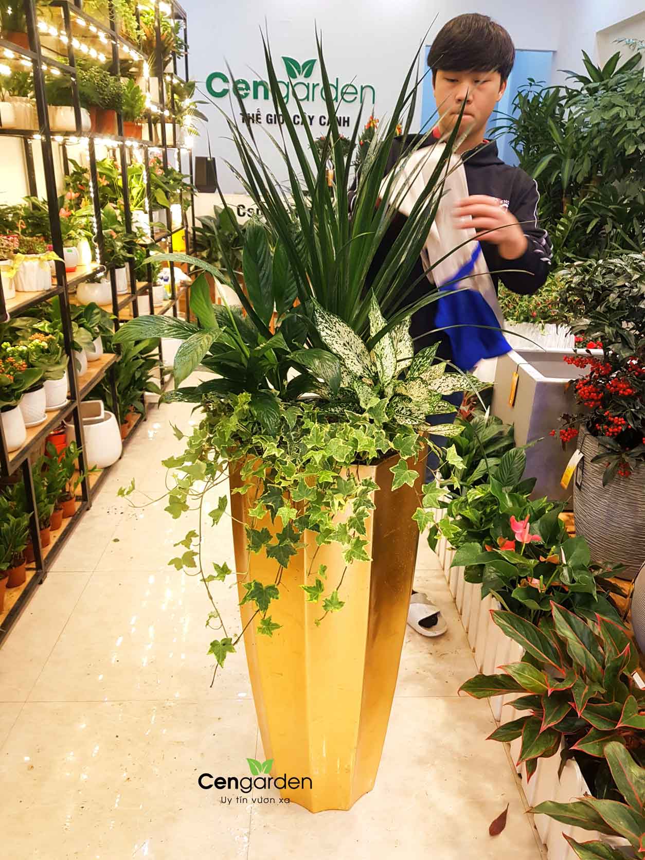 Chậu Composite cao cấp Garnet Gold Tự Tưới ROS